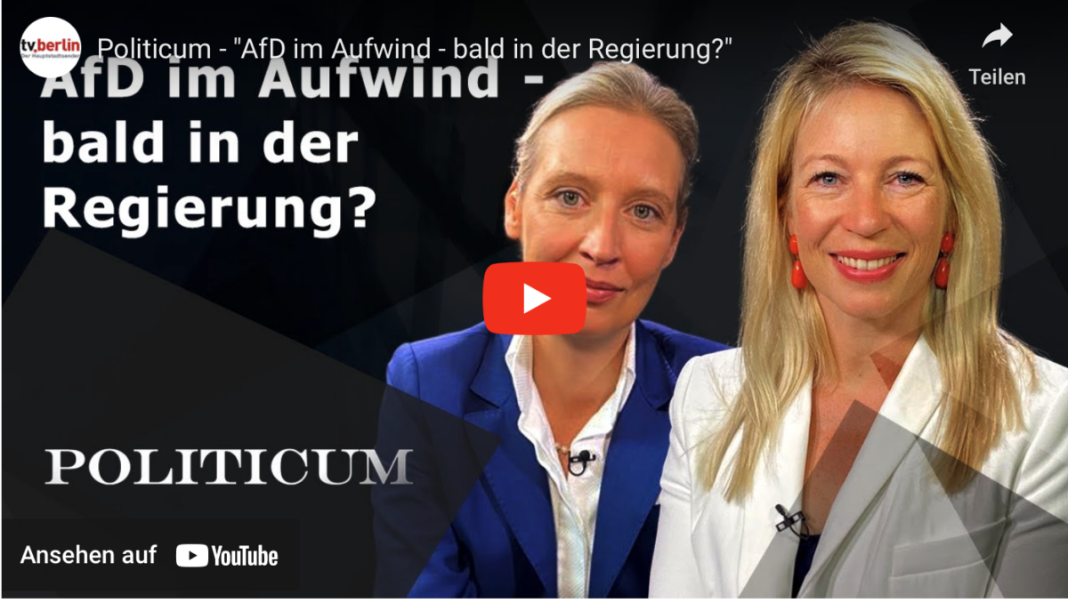 Politicum – „AfD im Aufwind – bald in der Regierung?“