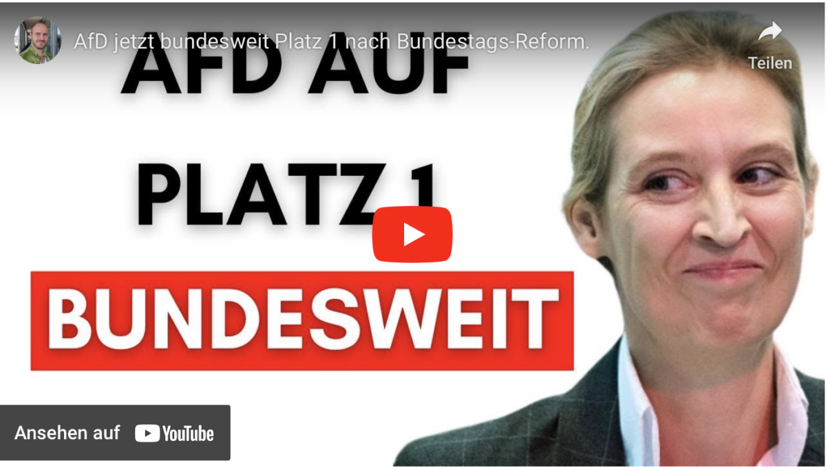 AfD jetzt bundesweit Platz 1 nach Bundestags-Reform.