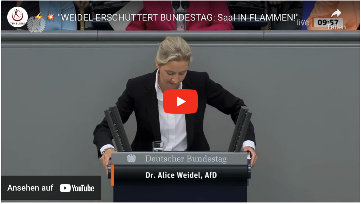 „WEIDEL ERSCHÜTTERT BUNDESTAG: Saal IN FLAMMEN!“