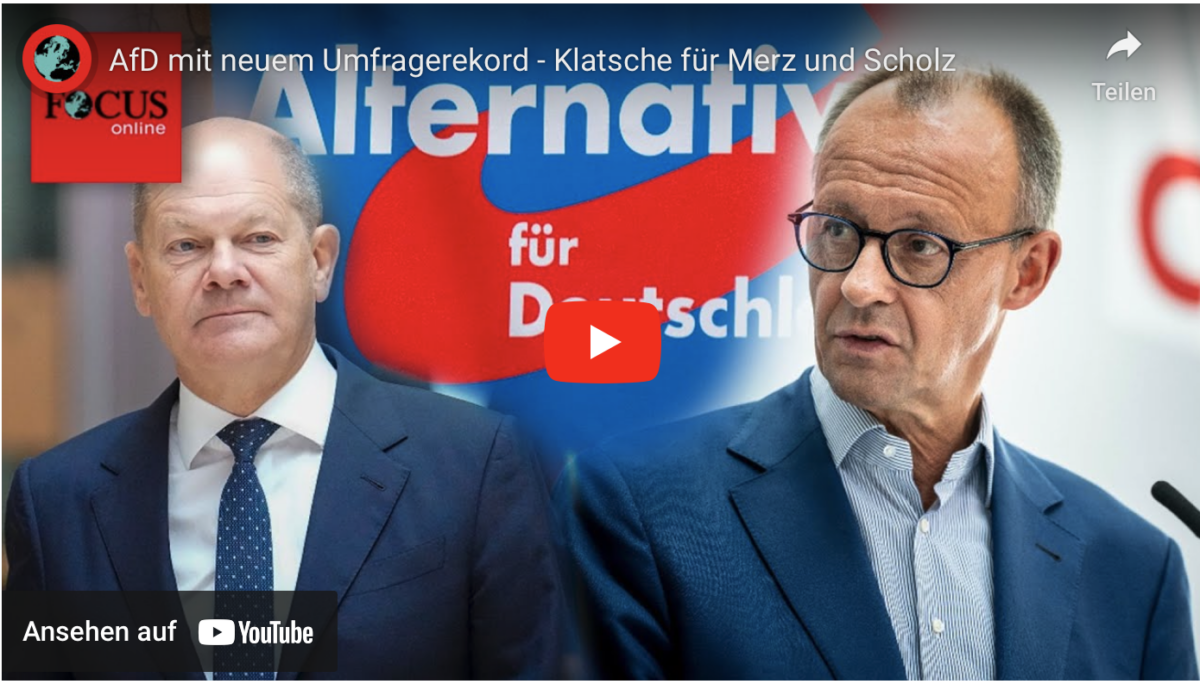 AfD mit neuem Umfragerekord – Klatsche für Merz und Scholz!
