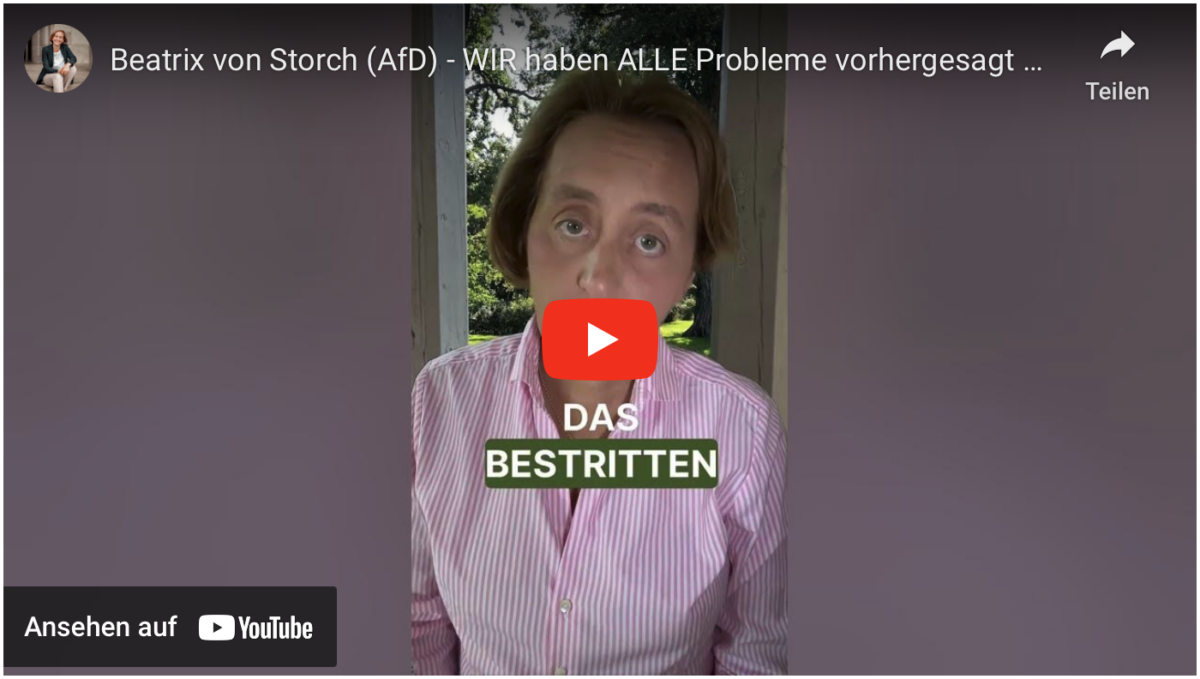 Beatrix von Storch (AfD) – WIR haben ALLE Probleme vorhergesagt und Recht behalten!