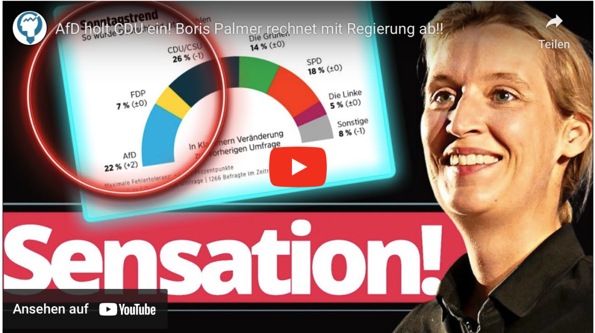 AfD holt CDU ein! Boris Palmer rechnet mit Regierung ab!!