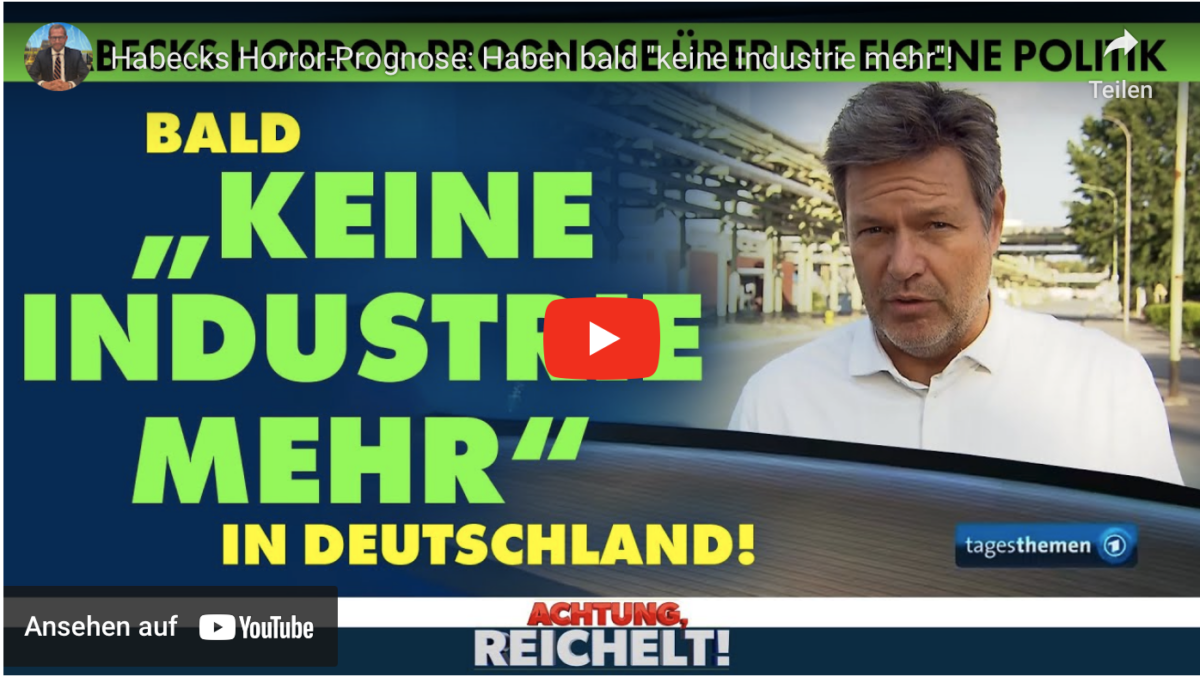 Habecks Horror-Prognose: Haben bald „keine Industrie mehr“!