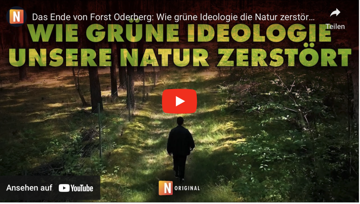 Das Ende von Forst Oderberg: Wie grüne Ideologie die Natur zerstört