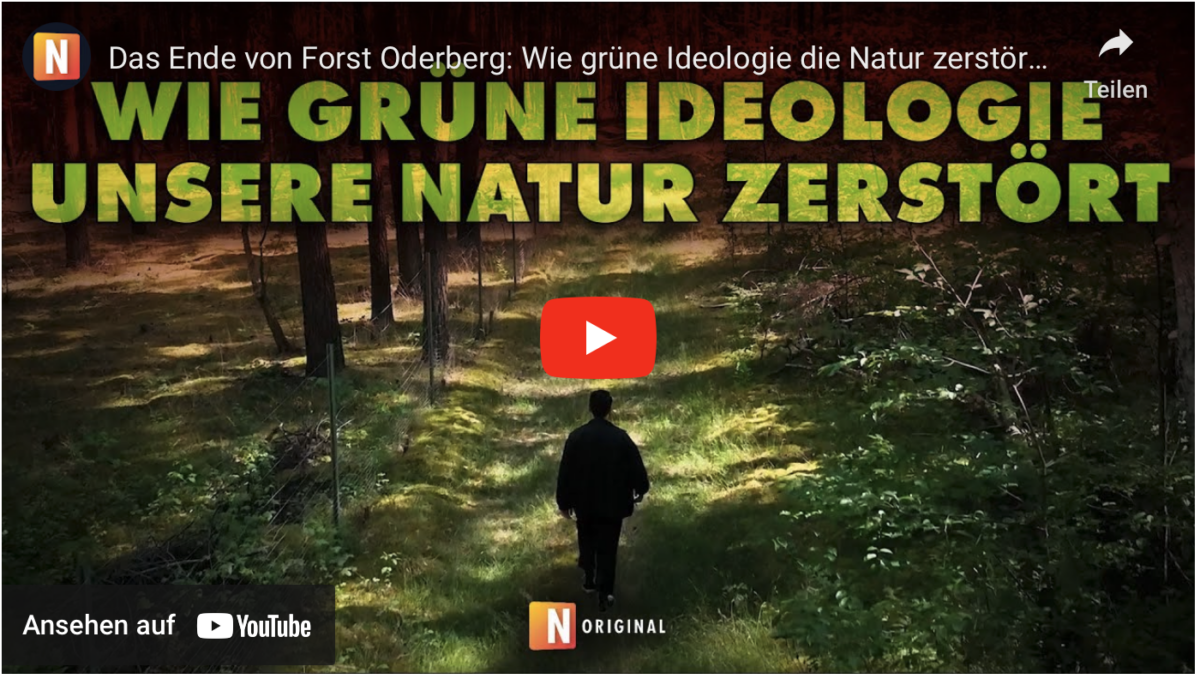 Das Ende von Forst Oderberg: Wie grüne Ideologie die Natur zerstört