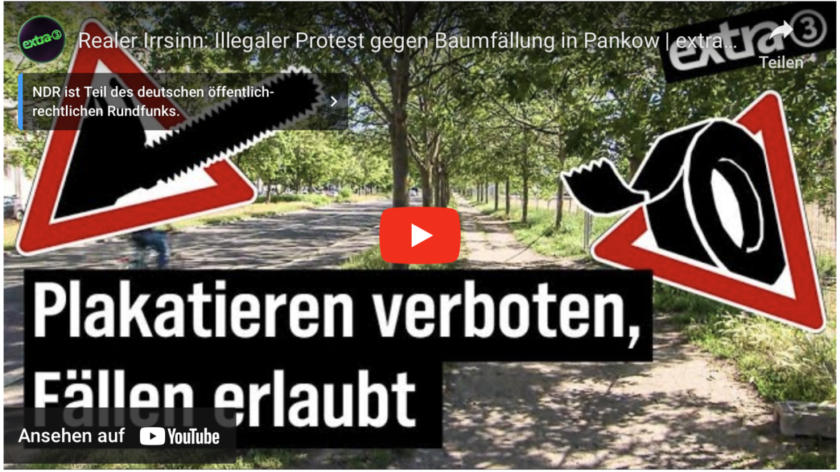 Realer Irrsinn: Illegaler Protest gegen Baumfällung in Pankow | extra 3 | NDR