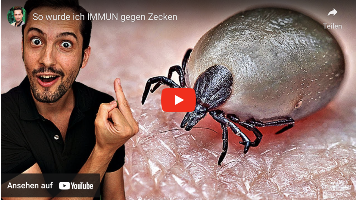 So wurde ich IMMUN gegen Zecken