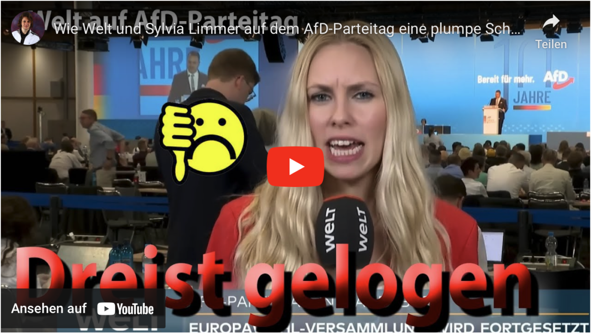 Wie Welt und Sylvia Limmer auf dem AfD-Parteitag eine plumpe Schauspielnummer abliefern