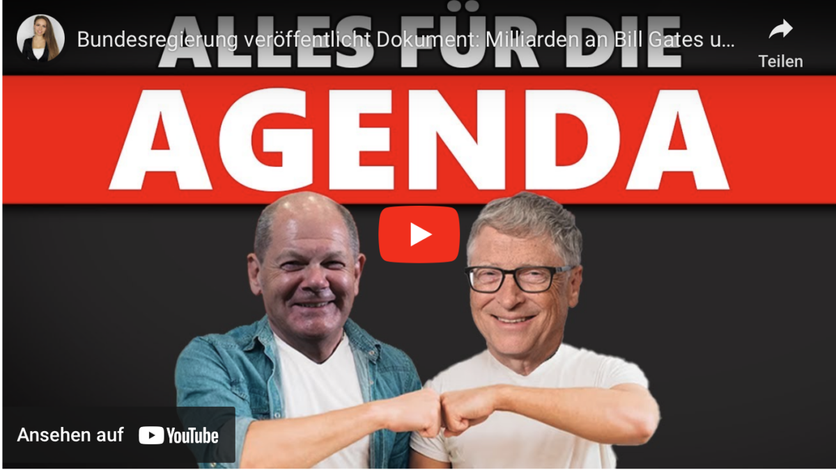 Bundesregierung veröffentlicht Dokument: Milliarden an Bill Gates und Co.?