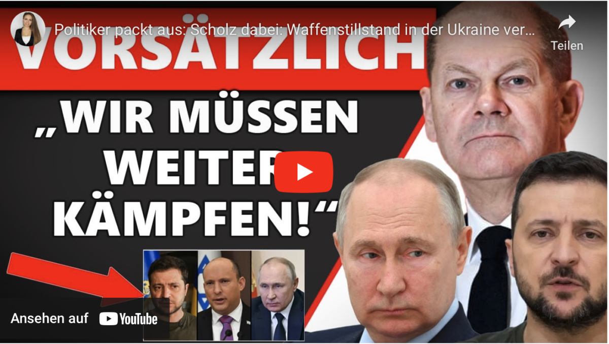 Politiker packt aus: Scholz dabei: Waffenstillstand in der Ukraine vereitelt!