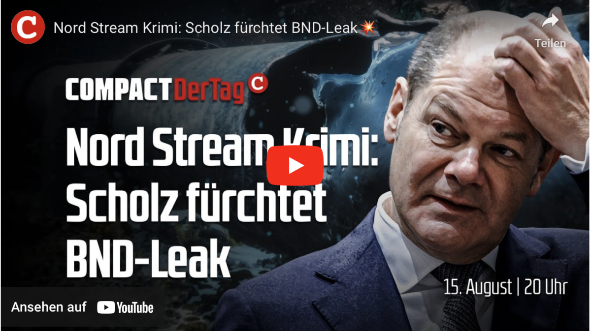 Nord Stream Krimi: Scholz fürchtet BND-Leak!