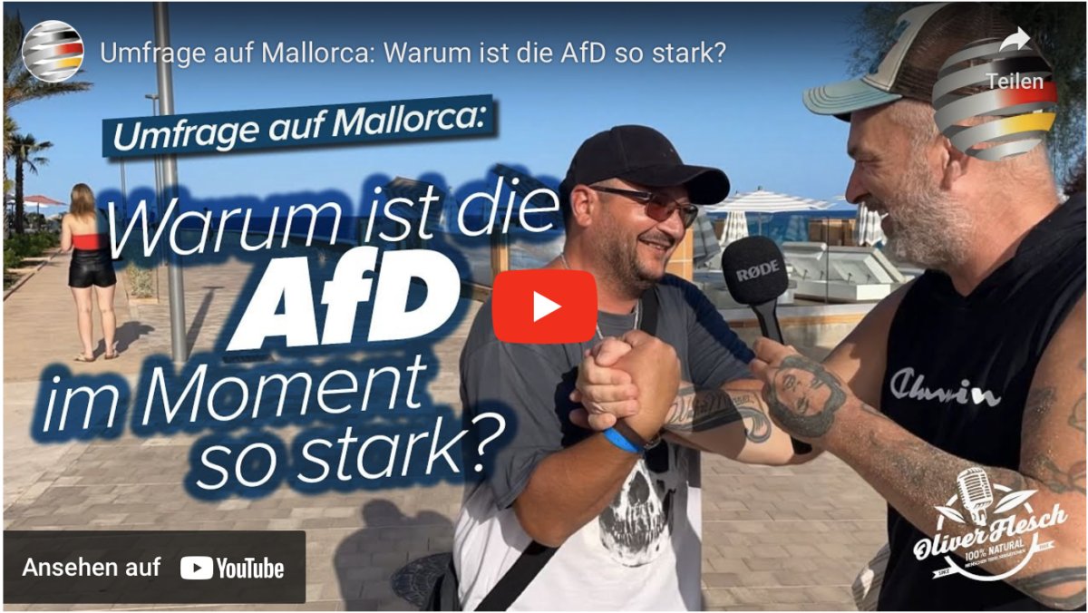 Umfrage auf Mallorca: Warum ist die AfD so stark?