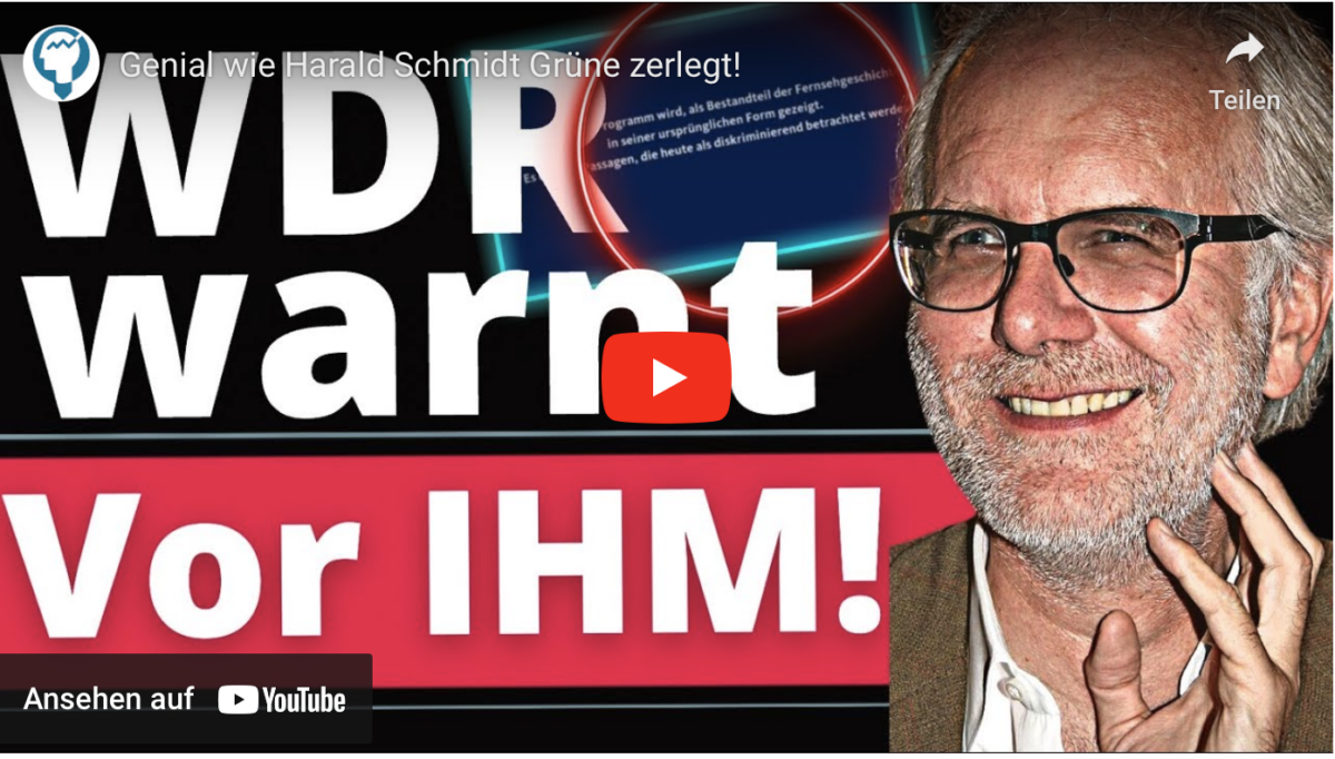 Genial wie Harald Schmidt Grüne zerlegt!