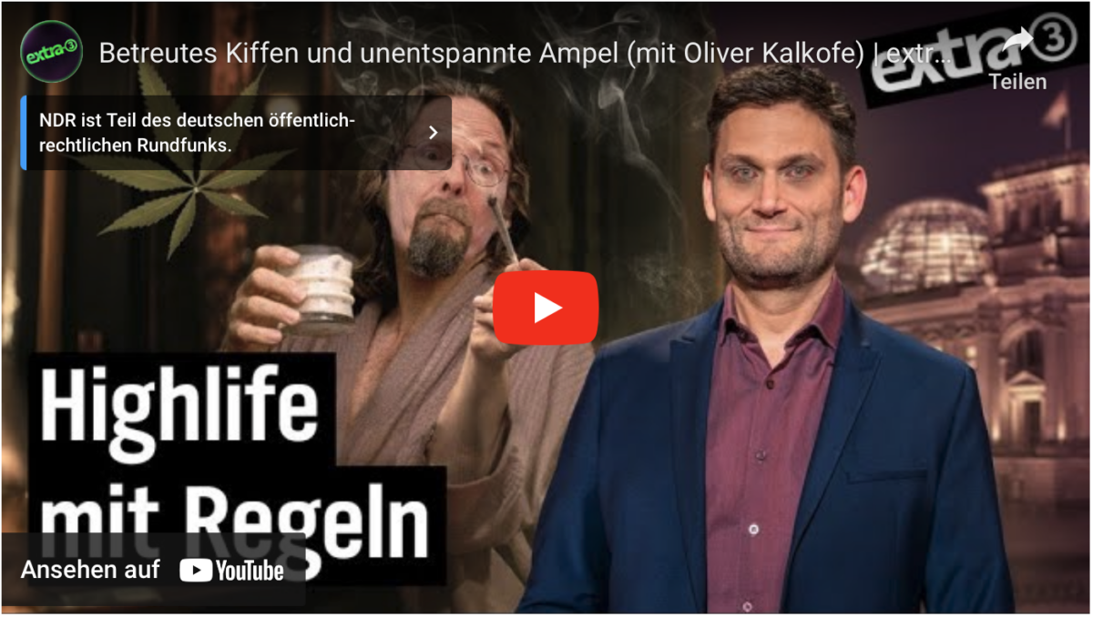 Betreutes Kiffen und unentspannte Ampel (mit Oliver Kalkofe) | extra 3 vom 24.08.2023 | NDR