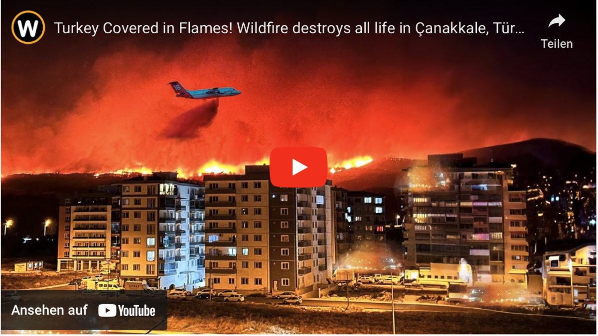 Die Türkei steht in Flammen! Ein Lauffeuer zerstört alles Leben in Çanakkale, Türkei