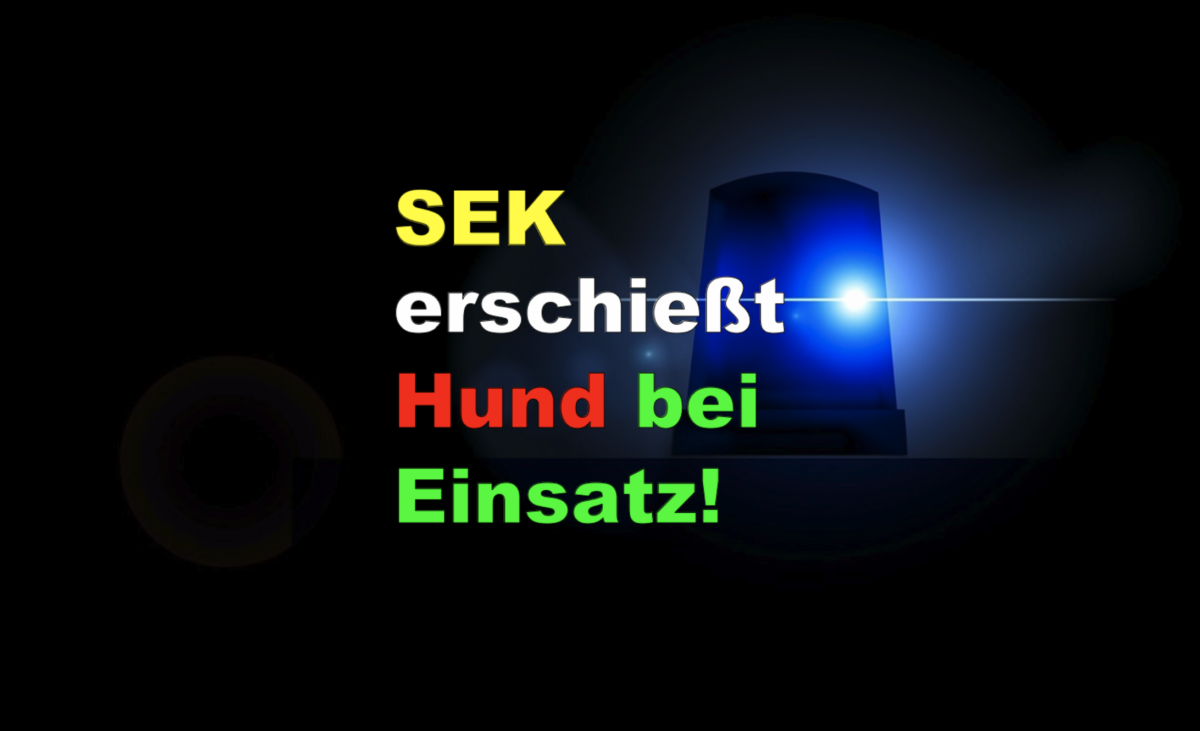 Hersfeld/Rotenburg: SEK erschießt Hund bei Einsatz!