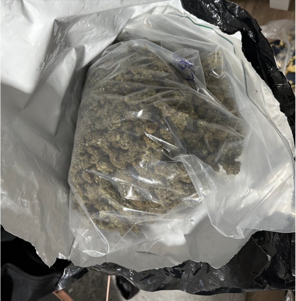Zollfahndung Essen findet Cannabisplantage und stellt über 7 kg Marihuana sicher