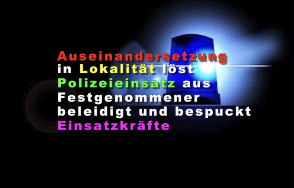Ginsheim-Gustavsburg: Auseinandersetzung in Lokalität löst Polizeieinsatz aus Festgenommener beleidigt und bespuckt Einsatzkräfte