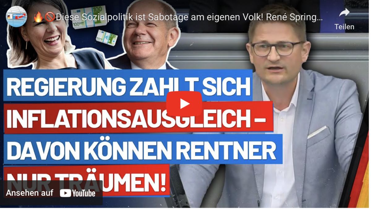 Diese Sozialpolitik ist Sabotage am eigenen Volk! René Springer – AfD-Fraktion im Bundestag