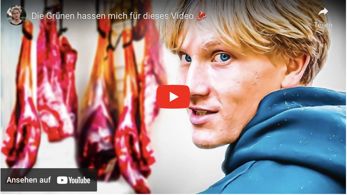 Die Grünen hassen mich für dieses Video!