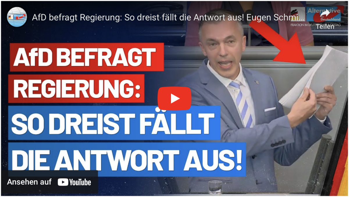AfD befragt Regierung: So dreist fällt die Antwort aus! Eugen Schmidt – AfD-Fraktion im Bundestag