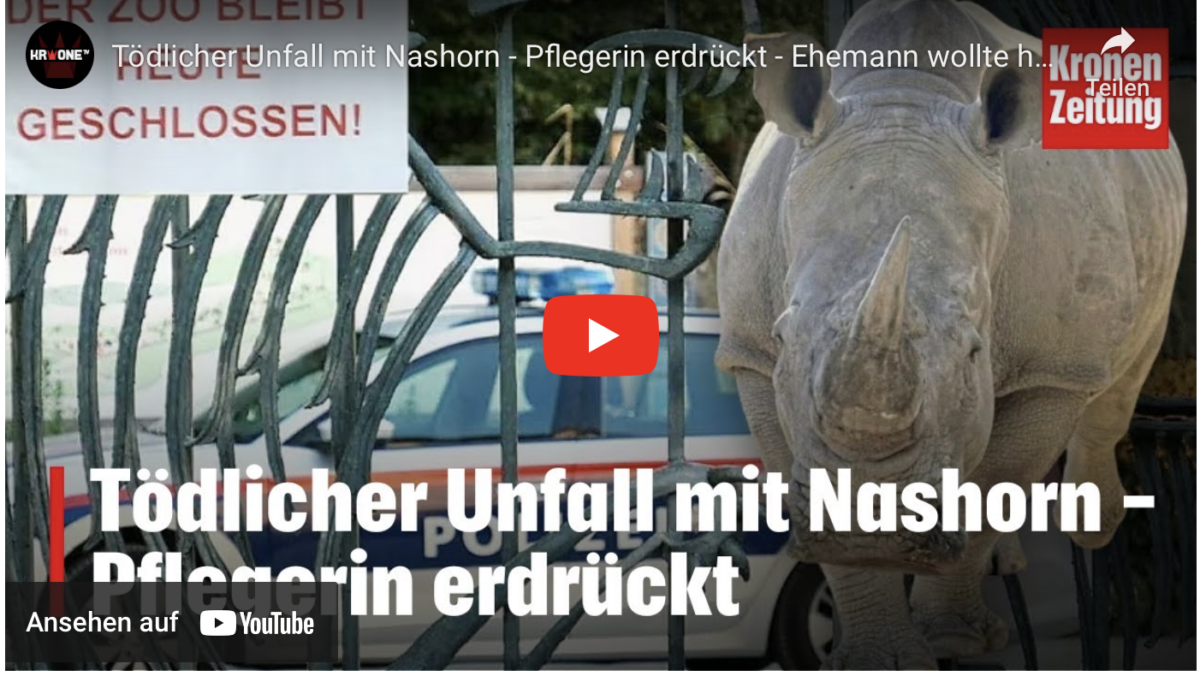 Tödlicher Unfall mit Nashorn – Pflegerin erdrückt – Ehemann wollte helfen