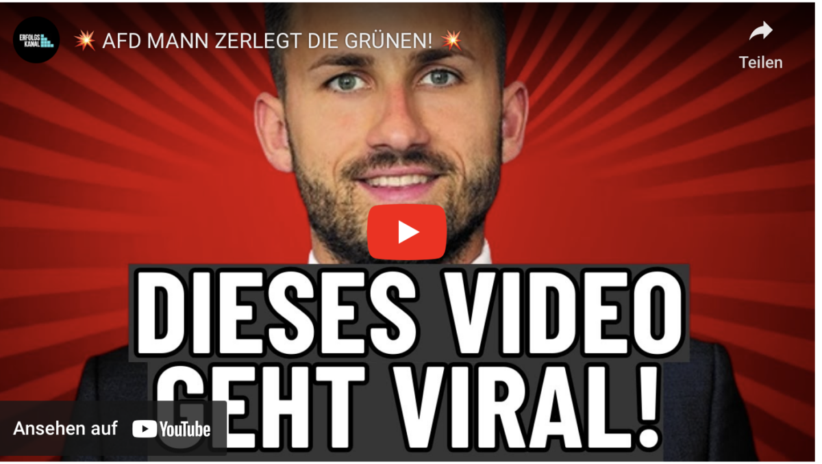 AFD MANN ZERLEGT DIE GRÜNEN!