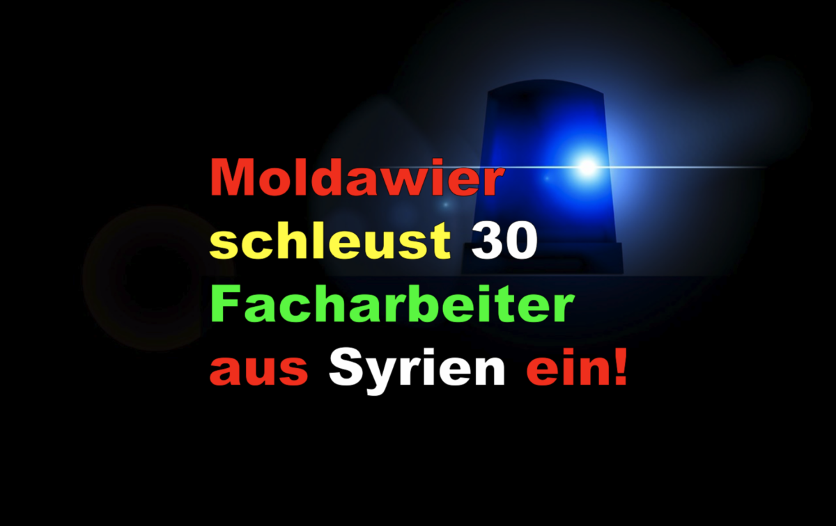 Moldawier schleust 30 Facharbeiter aus Syrien ein!