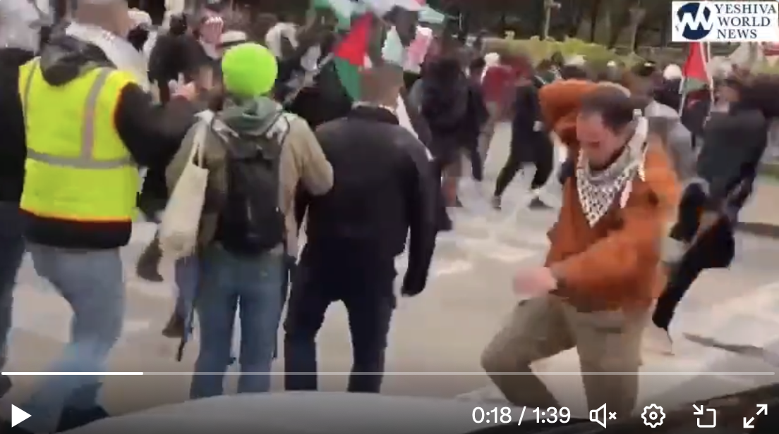 Schwarze hebräische Israeliten (die keine echten Juden sind) prügeln sich mit pro-palästinensischen Demonstranten in Chicago. Das kann man sich nicht ausdenken.