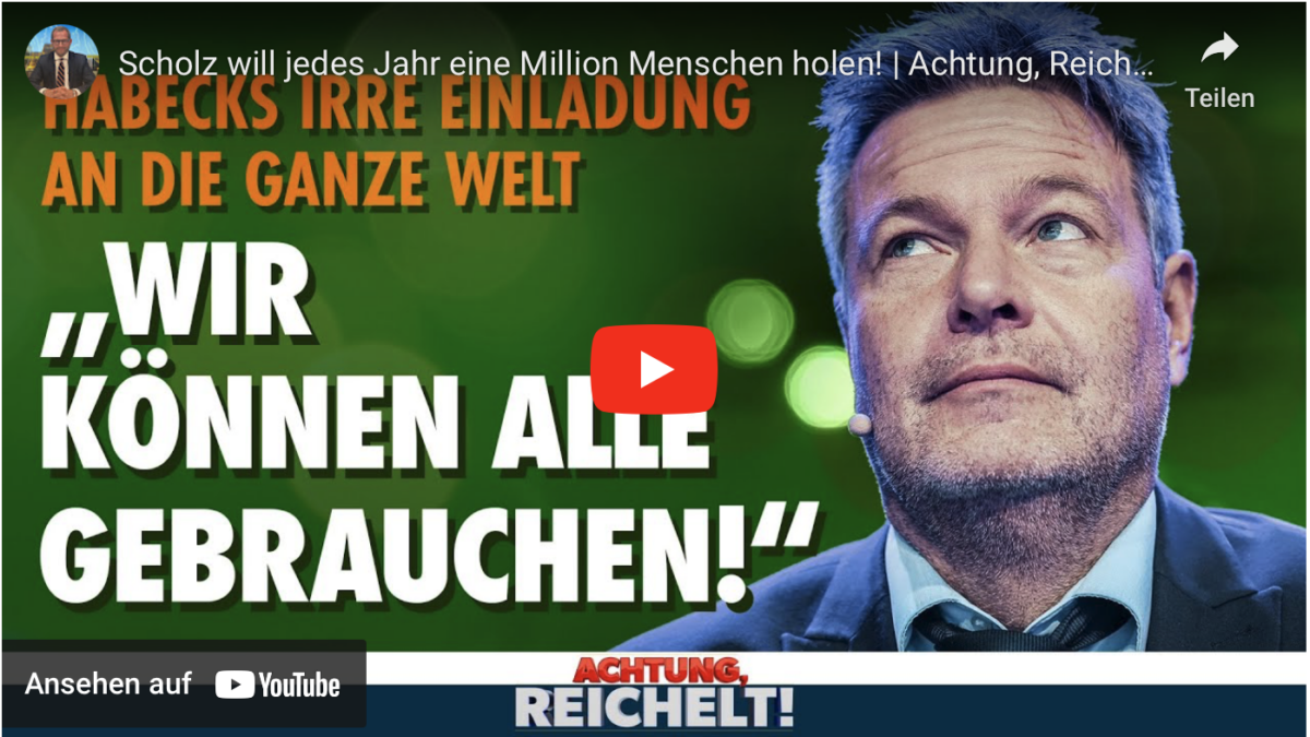 Scholz will jedes Jahr eine Million Facharbeiter holen!