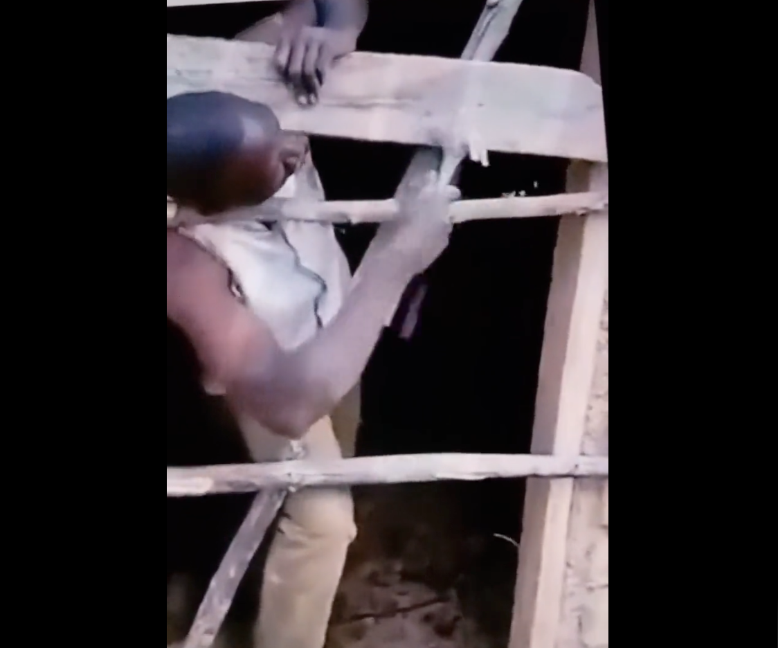 Video: Die neuen Zimmermänner aus Afrika sind da!