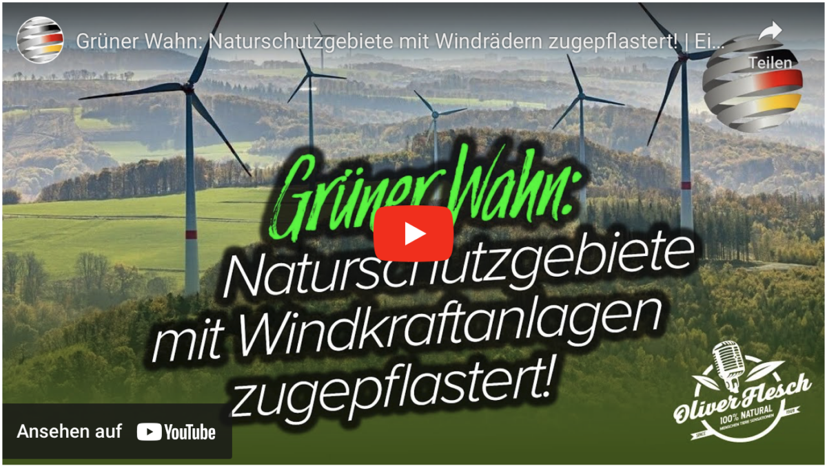 Grüner Wahn: Naturschutzgebiete mit Windrädern zugepflastert!