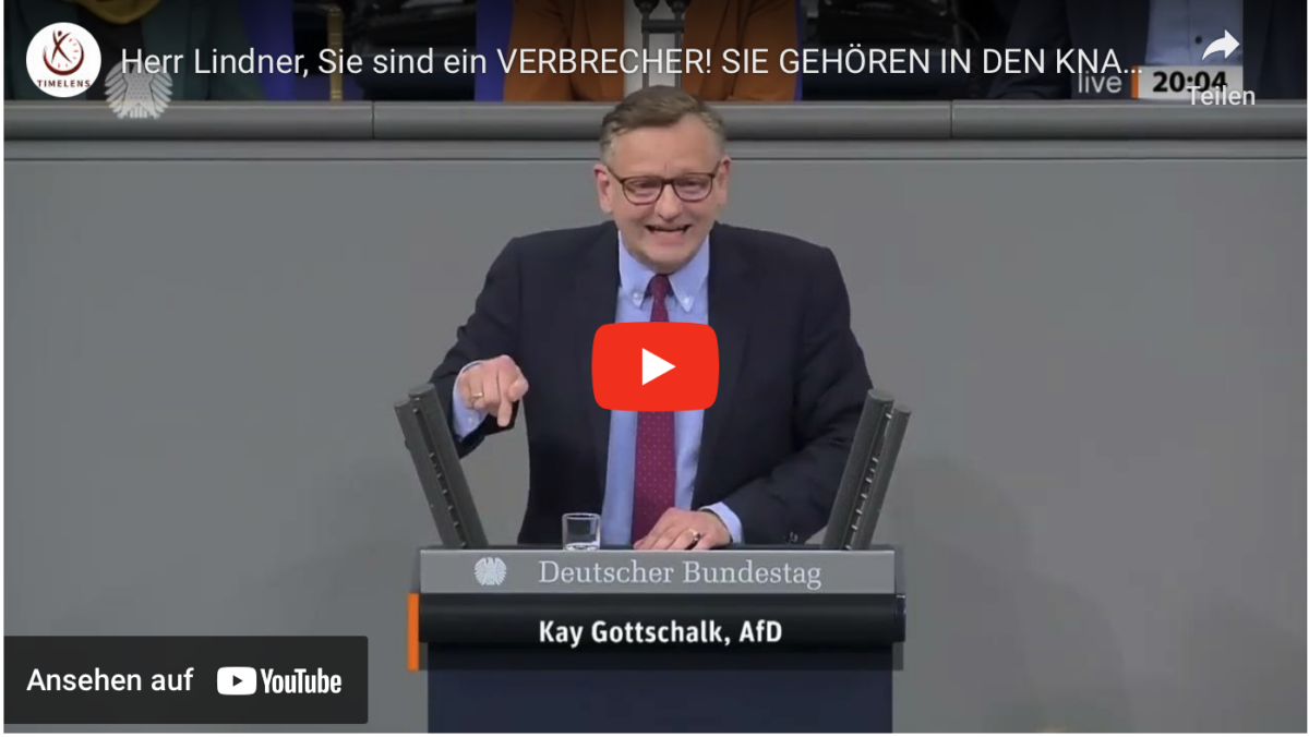 Herr Lindner, Sie sind ein VERBRECHER! SIE GEHÖREN IN DEN KNAST!
