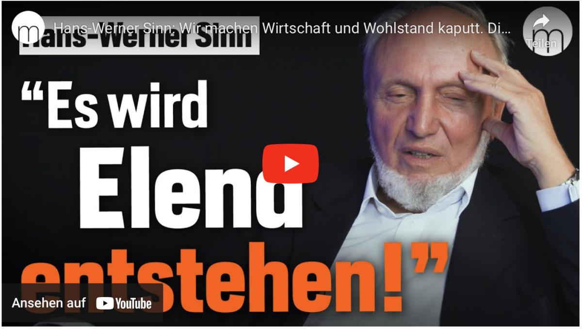 Hans-Werner Sinn: Wir machen Wirtschaft und Wohlstand kaputt. Dieser Weg ist verwegen und absurd
