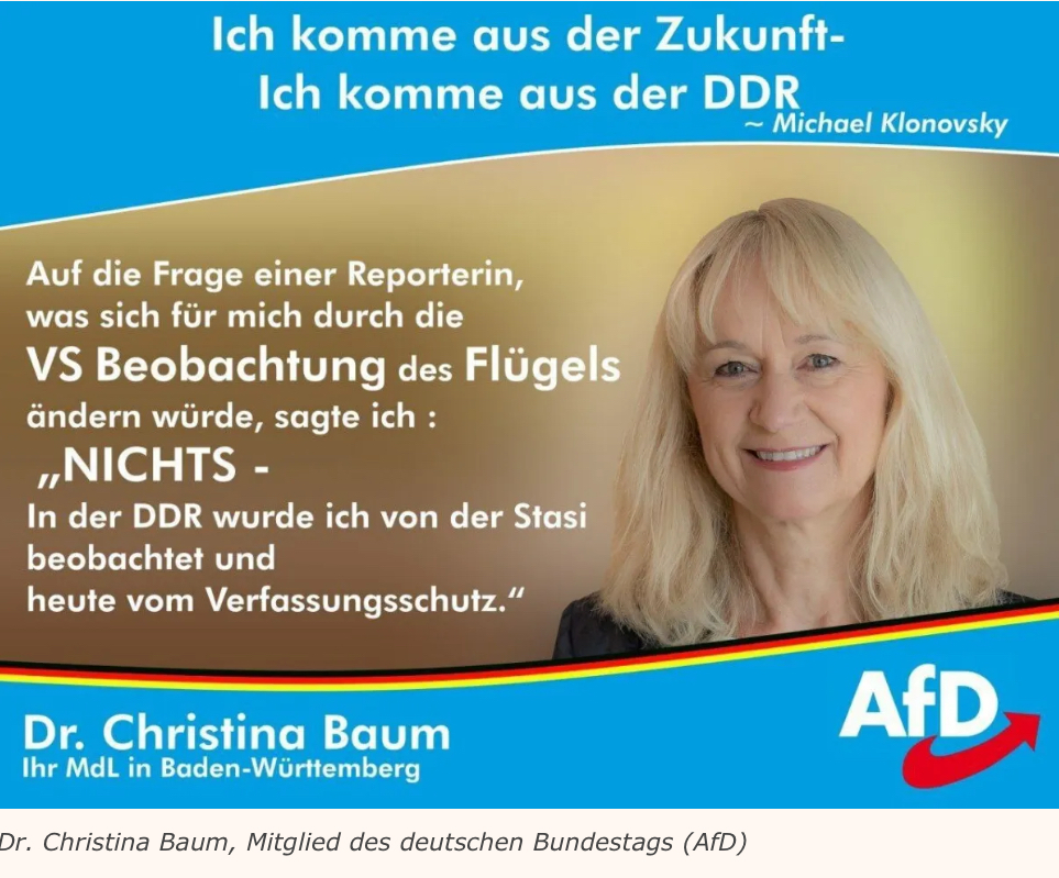 Der Aufstieg der AfD, der Verfassungsschutz und das Parteienverbot