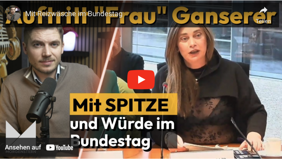 Mit Reizwäsche im Bundestag
