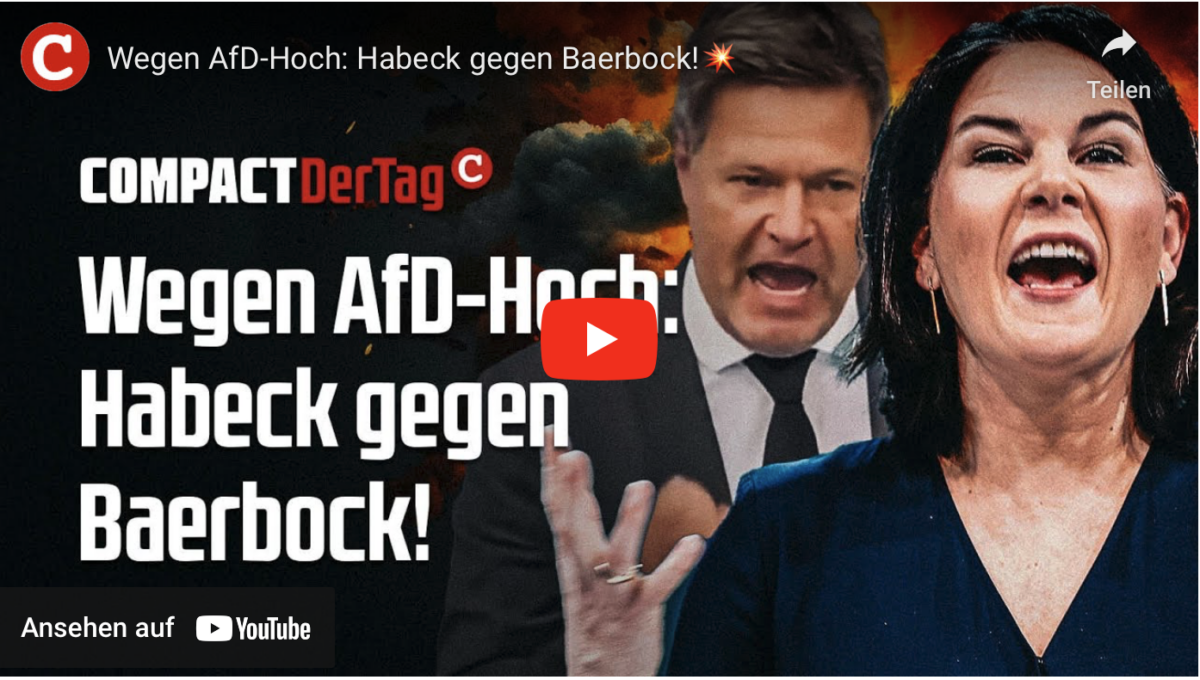 Wegen AfD-Hoch: Habeck gegen Baerbock!