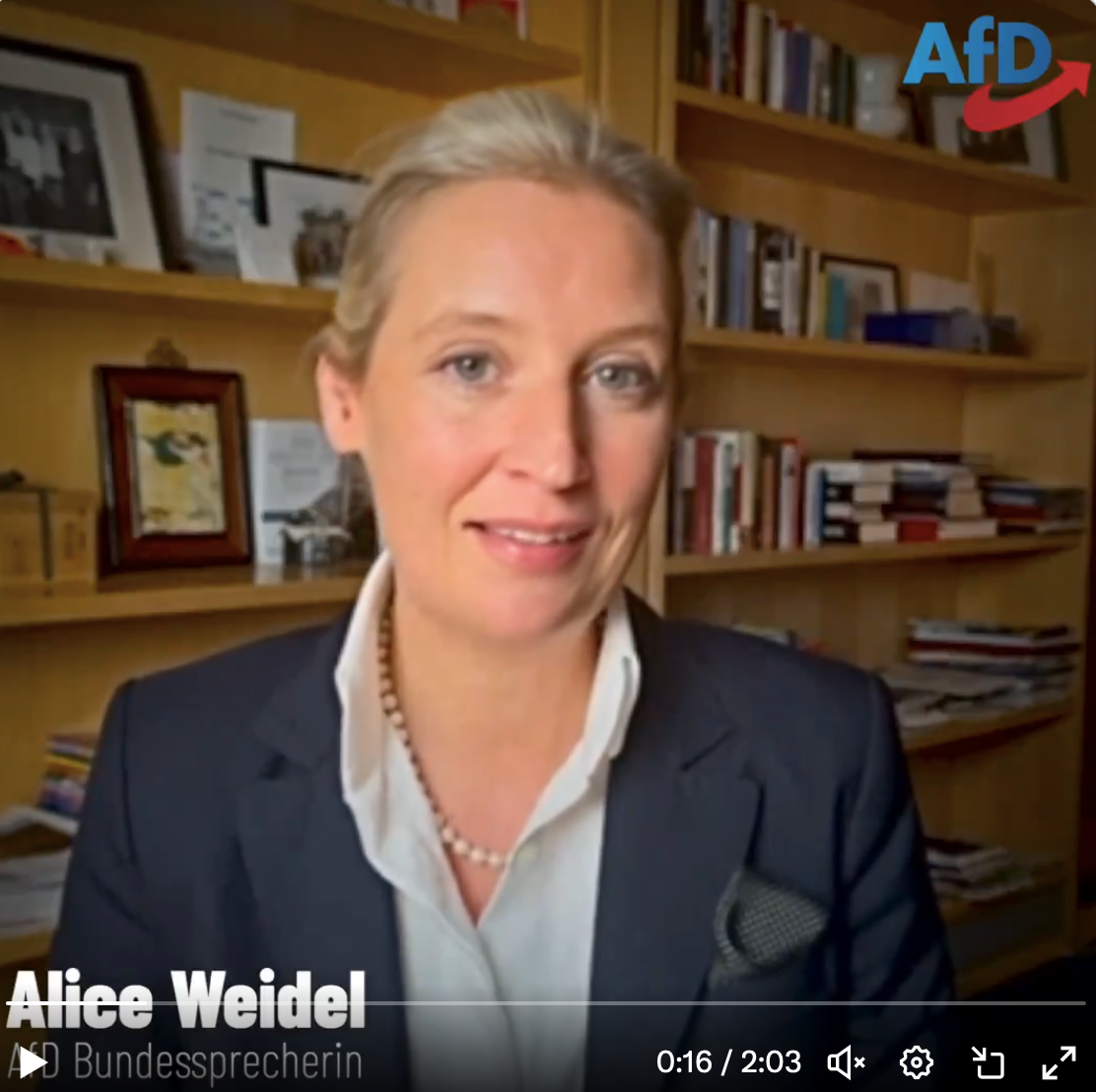 Alice Weidel – Abwegige Vorwürfe gegen meine Person: Meine Stellungnahme!