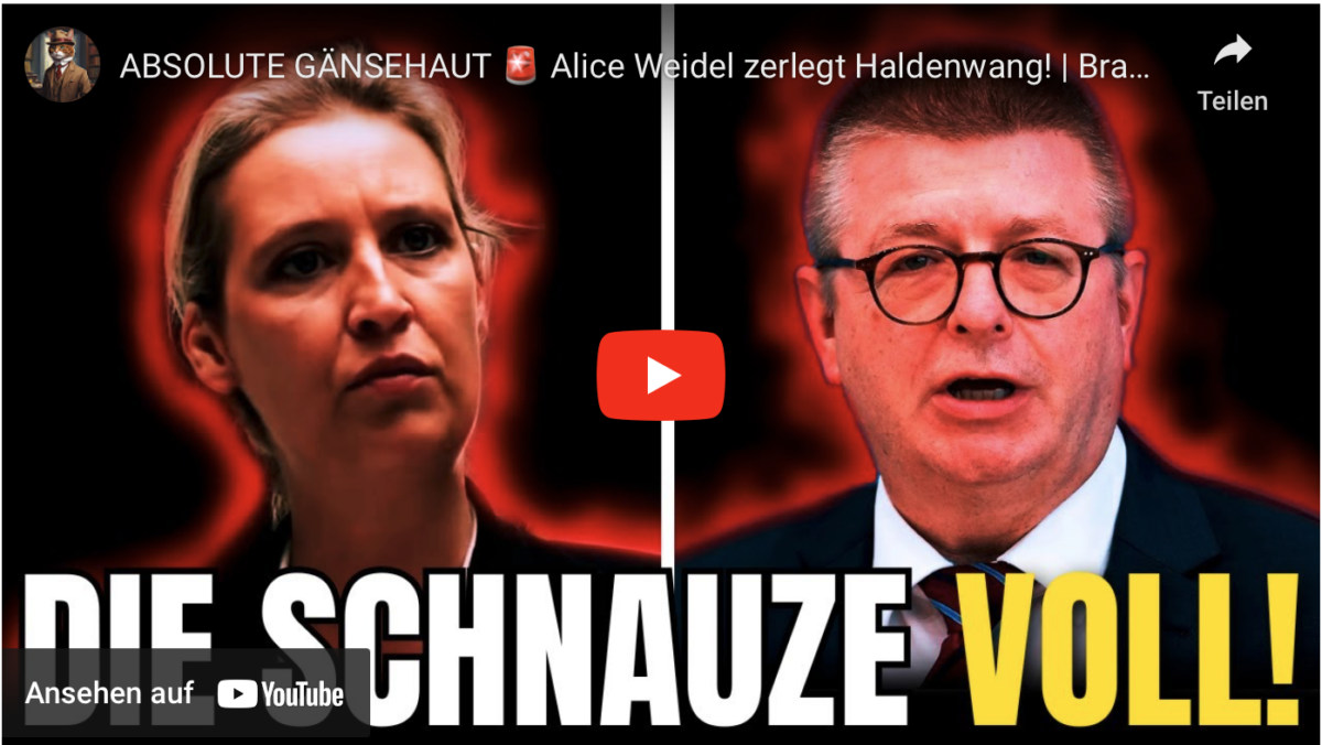 ABSOLUTE GÄNSEHAUT Alice Weidel zerlegt Haldenwang! | Brandneues Interview vom (17.12)