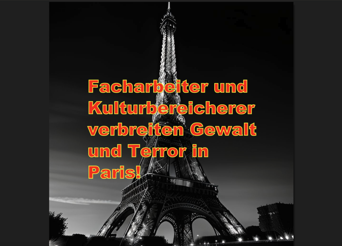 Facharbeiter und Kulturbereicherer verbreiten Gewalt und Terror in Paris!
