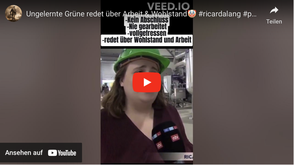 Ungelernte Grüne redet über Arbeit & Wohlstand! #ricardalang #politik #shorts