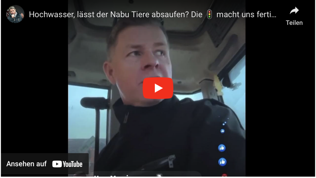 Hochwasser, lässt der Nabu Tiere absaufen? Die Ampel macht uns fertig!
