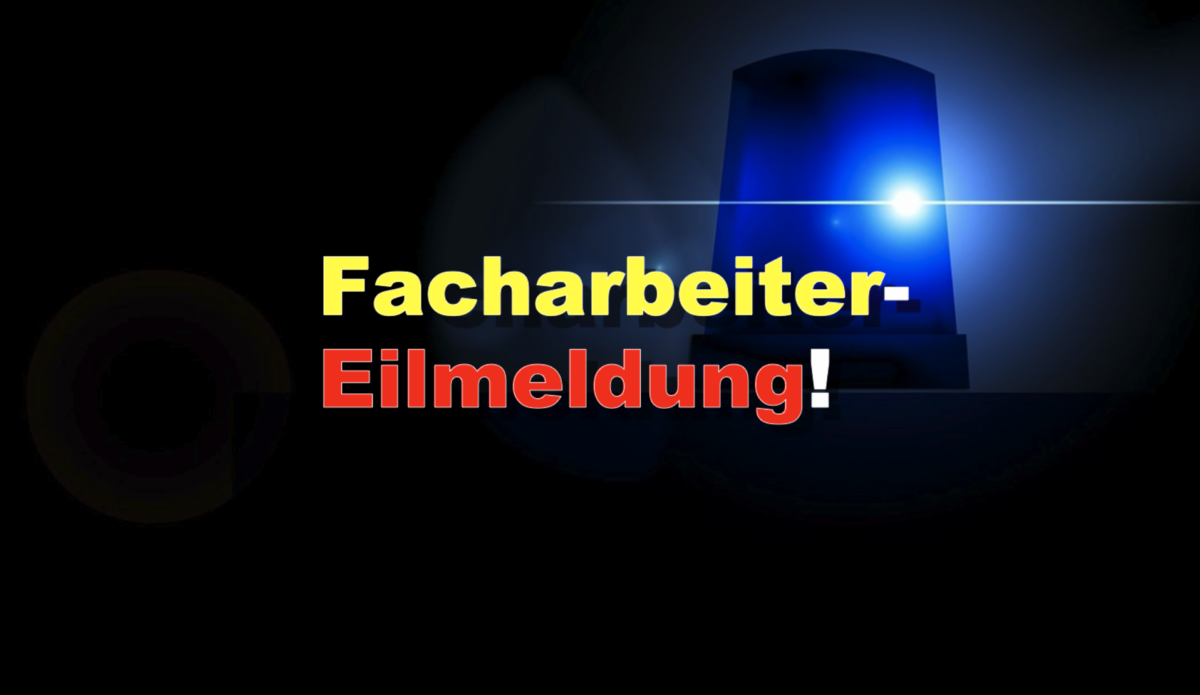 Facharbeiter-Eilmeldung! 66% der Migranten sind Analphabeten – 50% brechen Integrationskurs ab!