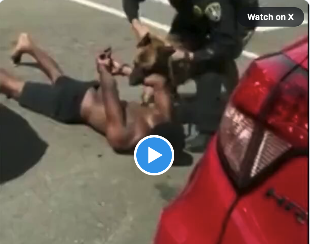 Facharbeiter legt sich mit Polizeihund an und verliert!