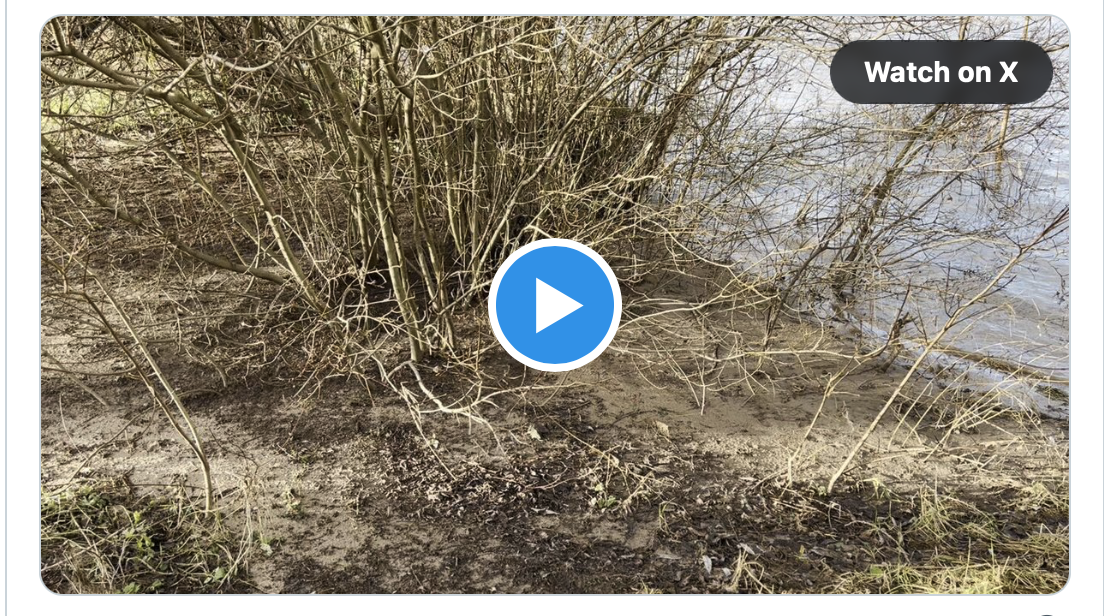 Video: Aktuelle Hochwasserlage in Rüsselsheim am Main/Hessen, am 03.01.2024, gegen 11:00 Uhr! Die Lage ist entspannt!