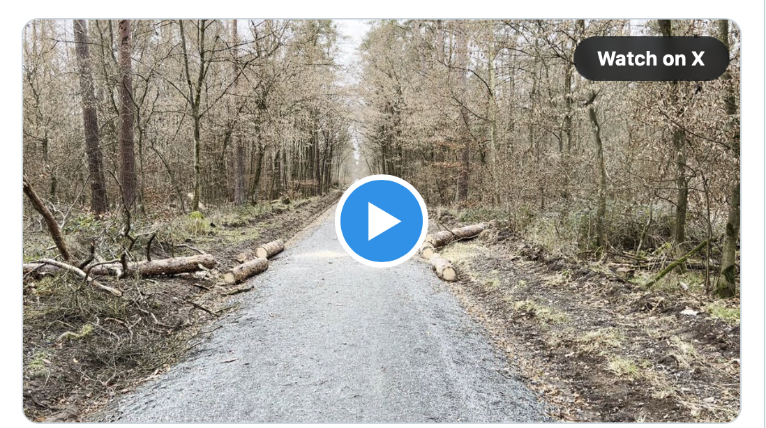 #Video: So beseitigen die Facharbeiter bei Hessenforst die Sturmschäden fachgerecht und die Gefahr für die Allgemeinheit durch herabstürzende Bäume bleibt weiter bestehen. Die Hauptsache der Baum auf der Straße wurde beseitigt!