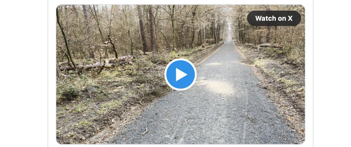 Pressecop24.com wirkt! Wochen nach Gefahr von Baum über Waldweg, beseitigen Facharbeiter von Hessenforst doie Geahrenstelle!