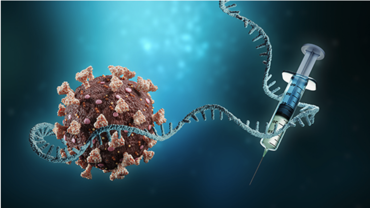 Florida fordert, dass die Verwendung von mRNA-COVID-19-Impfstoffen wegen DNA-Kontaminationsgefahren eingestellt wird!