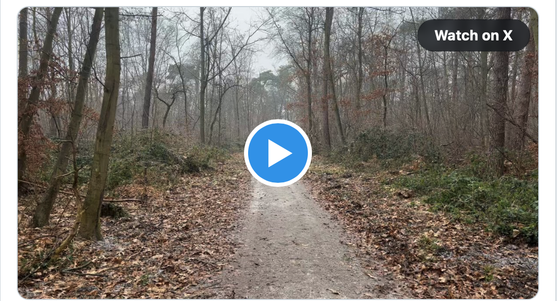 #Video: Facharbeiter von Hessenforst brauchen Mitarbeiter in Rüsselsheim, um den Weg zum Waldschwimmbad von umgestürzten Bäumen nach dem Sturm vor Wochen zu entfernen!