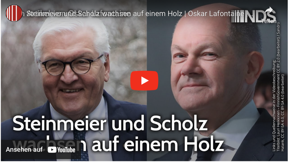 Steinmeier und Scholz wachsen auf einem Holz!